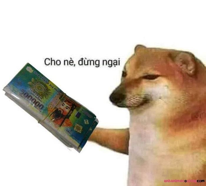 ảnh hết tiền meme siêu hài